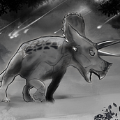 My project in Naturalist Animal Illustration with Procreate course. Digital Design, Digital Drawing, Digital Illustration, and Digital Painting project by Joydeep Mitra - 07.09.2020