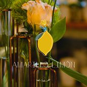 Branding - Amarillo limón. Br, ing, Identit, Logo Design, and Naming project by Ana Bustamante - 05.15.2020