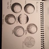 Shading exercise . Botanical Illustration project by Beatrix Balazar - 07.10.2020
