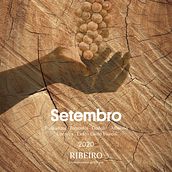 Mi Proyecto del curso: Diseño y producción de una etiqueta de vino. Design, Product Design, Graphic Design, and Packaging project by Jenn - 07.10.2020