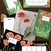 Mi Proyecto del curso: Ilustración botánica con acuarela  en fondo verde o negro, no me decido cual elegir . . % Alba Berenguer tarafından hazırlanan Geleneksel illüstras, Ve on projesi - 07.11.2020