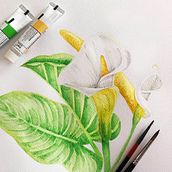 Mi Proyecto del curso: Ilustración botánica con acuarela. Fine Arts project by Stephanie Rodriguez Buitrago - 07.13.2020