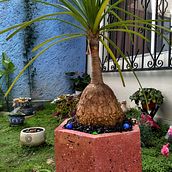 Mi Proyecto del curso: Creación de muebles en concreto para principiantes. Projekt z dziedziny Craft, Projektowanie i w i rób mebli użytkownika marinth_16 - 14.07.2020