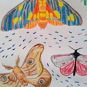 My project in Illustration Techniques to Unlock your Creativity course. Traditional illustration, and Watercolor Painting project by erinlc.neufeld - 07.16.2020