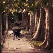 Mi Proyecto del curso: Fotomontaje surrealista con Photoshop . Fotografia projeto de Damian Radice - 16.07.2020