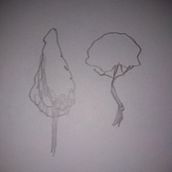 Mi Proyecto del curso: Dibujo para principiantes nivel -1. Drawing, and Pencil Drawing project by akeawel32 - 07.17.2020