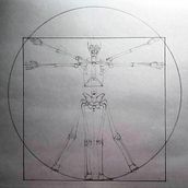 Mi Proyecto del curso: "Dibujo anatómico para principiantes". Un Vitruvio usando las proporciones que nos indicó ZURSOIF. Un progetto di Disegno anatomico di emilio_sero - 18.07.2020
