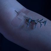 Mommy, I love you but ... . % Laura A. tarafından hazırlanan Fotoğrafçılık, Güzel Sanatlar Fotoğrafçılığı, Ve Dijital Fotoğrafçılık projesi - 07.19.2020