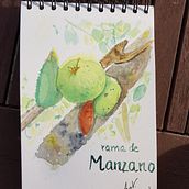 Proyecto de ana5059: Cuaderno botánico en acuarela. Botanical Illustration project by ana5059 - 07.19.2020