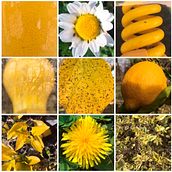 Mi Proyecto del curso: De principiante a superdibujante. Un proyecto de Fotografía con móviles de trinimihura - 19.07.2020