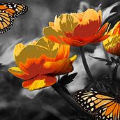 Flying flower art ... . Architecture, Creativit, Artistic Drawing, Digital Drawing, Graphic Design, Photograph, Fine-Art Photograph, Digital Photograph, Photographic Lighting, Painting, Photographic Composition, Outdoor Photograph, Instagram Photograph, Photomontage, and Photo Retouching project by David Fernando Rico Ramirez - 08.20.2020