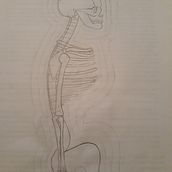 Mi Proyecto del curso: Dibujo anatómico para principiantes Ein Projekt aus dem Bereich Skizzenentwurf von HANNAH DAVILA - 20.07.2020