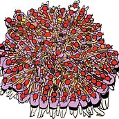 El gran Llibre dels Castells (2018). Children's Illustration project by Octavi Torné Bacaria - 07.20.2020