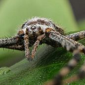 Mi proyecto stacking . Fotografia projeto de Omar De Luna Sánchez - 20.07.2020