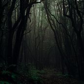 Sombras en el bosque. Un progetto di Videogiochi, Script e Progettazione di videogiochi di Eva María Plaza Díaz - 30.12.2020