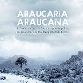 Araucaria Araucana - sound postproduction & music. Photograph, Post-production, Audiovisual Post-production, Music Production, and Sound Design project by Rafael Bernabeu García - 03.01.2017