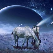 Space horses. Projekt z dziedziny Fotomontaż użytkownika Marisa Zurita López - 22.07.2020