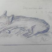Proyecto1 Rosa Villares. Traditional illustration project by Rosa Villares - 08.03.2020