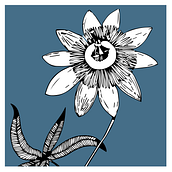 Dibujos a mano | Blanco y negro. Desenho a lápis e Ilustração tradicional projeto de Malena Schiro - 24.07.2020