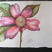 Proyectos iniciales de acuarela libre.. Watercolor Painting project by Angela Urbina - 07.24.2020