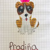 Mi Proyecto del curso: Mi personaje Pradiña. Un proyecto de Creatividad con niños y Dibujo de camsalazar04 - 25.07.2020