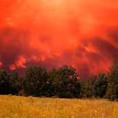 Mi Proyecto del curso: Iniciación al retoque fotográfico con Photoshop. Projekt z dziedziny  Sztuki piękne użytkownika Marcos Lopez - 30.08.2020