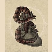 Ular Mabuk. Collage, and Digital Illustration project by Barii Ikraam Majiid Ahmad - 07.26.2020