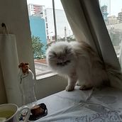 Explorando mi ser . Pencil Drawing project by Angélica GR - 07.26.2020