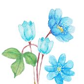 Mi Proyecto del curso: Ilustración botánica con acuarela. Watercolor Painting project by Juan Alberto De La Torre De La Torre - 07.28.2020
