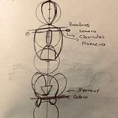 Mi Proyecto del curso: Dibujo anatómico para principiantes. Pencil Drawing, and Figure Drawing project by Carlos Lara - 07.28.2020