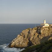 Caza Faros. Realistic Drawing project by marfrontera - 07.29.2020