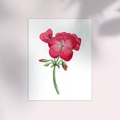 Mi Proyecto del curso: Ilustración botánica con acuarela. Botanical Illustration project by Camila Basoalto - 07.28.2020