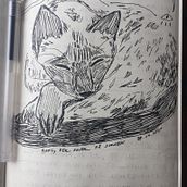 My cat Bodil. Un progetto di Illustrazione tradizionale di Andrea Uldahl - 29.07.2020