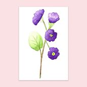 Mi Proyecto, ilustración botánica con acuarela. Een project van Grafisch ontwerp,  Botanische illustratie y Aquarelschilderen van Tatiana Noelí Avalos - 30.07.2020