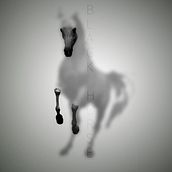 Black Horse. Een project van Fotografische compositie van Cris Morillas - 30.07.2020