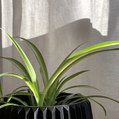 Maceta 3D . 3D de Sergio Jodar - 12.20.2020