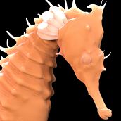 Danka Mangia Showreel 2020. Een project van 3D van Danka Mangia - 31.07.2020