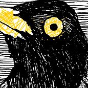 Un Mirlo. Drawing, Design, Writing, and Traditional illustration project by Santiago Maldonado Lasso - 08.05.2020