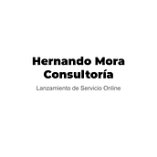 Mi Proyecto del curso: Hernando Mora Consultoría. Consultoria criativa projeto de Hernando Mora - 03.08.2020