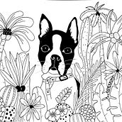 Flaca ! . Un progetto di Disegno di Fran Osorio - 03.08.2020