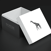 NAIROBI | brand identity. Br, ing, Identit, Graphic Design, Social Media Design, and Web Design project by Gabriel Gonzalez - 08.05.2020