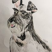 Mi Proyecto del curso: Técnicas experimentales de acuarela para principiantes . Un projet de Aquarelle de Estefany Pocon - 06.08.2020