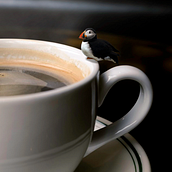 Tori Cafe. Photograph project by kevin coba - 08.08.2020