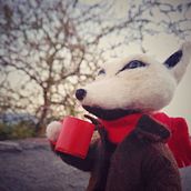 Mi Proyecto del curso: Needle felting. Arts, and Crafts project by Francisco Guzman Rojas - 08.30.2020
