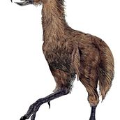 Paraphysornis brasiliensis - Terror Bird. Un progetto di Illustrazione tradizionale e Illustrazione digitale di Jorge de Lima - 12.08.2020