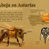 Mi Proyecto del curso: Ilustración naturalista de animales con Procreate. Een project van Digitale tekening van eledelerma - 12.08.2020