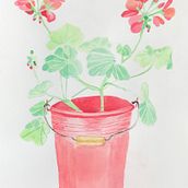 Pelargonias. Een project van Aquarelschilderen van Sarah Nilsson - 12.08.2020