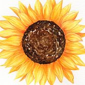 Mi Proyecto del curso: Ilustración botánica con acuarela . Ilustrasi tradisional proyek oleh Eliana Asat - 08.13.2020