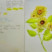 Botanical Watercolour Sketchbook. Un progetto di Illustrazione botanica di jacqui_hey - 14.08.2020