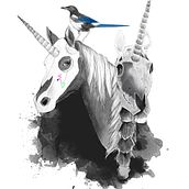 El Esqueleto del Unicornio Negro. Un projet de Design , Conception éditoriale, Design graphique, Illustration traditionnelle et Illustration numérique de Celia López Bacete - 27.06.2017